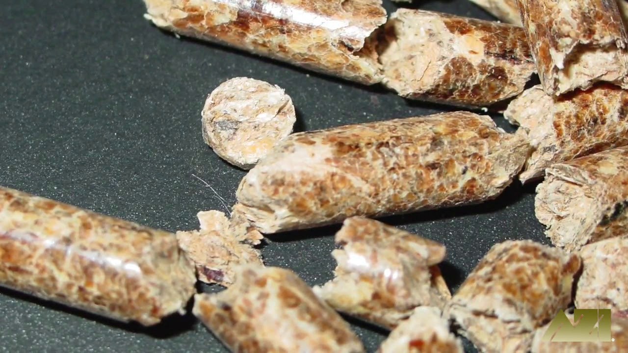 Charcoal & Wood Pellet Moisture & Ash Matters - AMETEK Brookfield Computrac® MAX® 5000XL