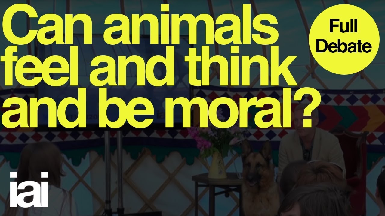 Can Animals Feel, Think and Be Moral? | Mark Rowlands