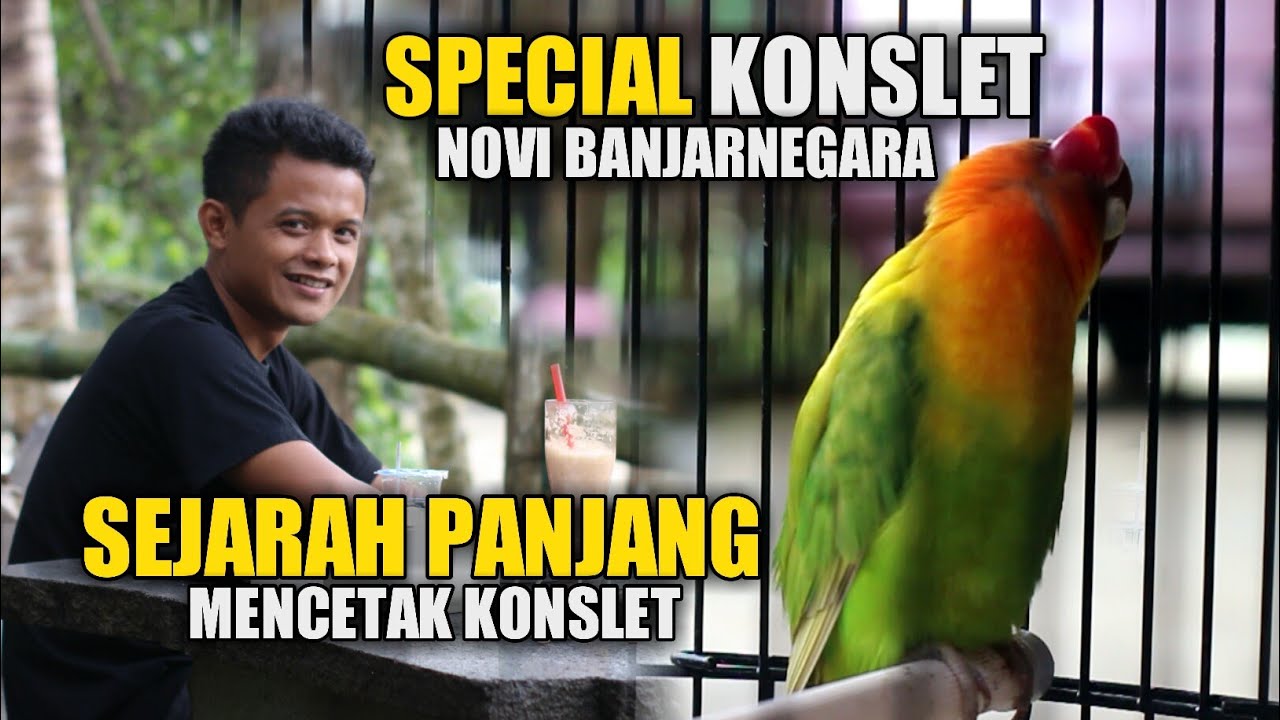 SEJARAH CETAK Lovebird Konslet Novi Banjarnegara