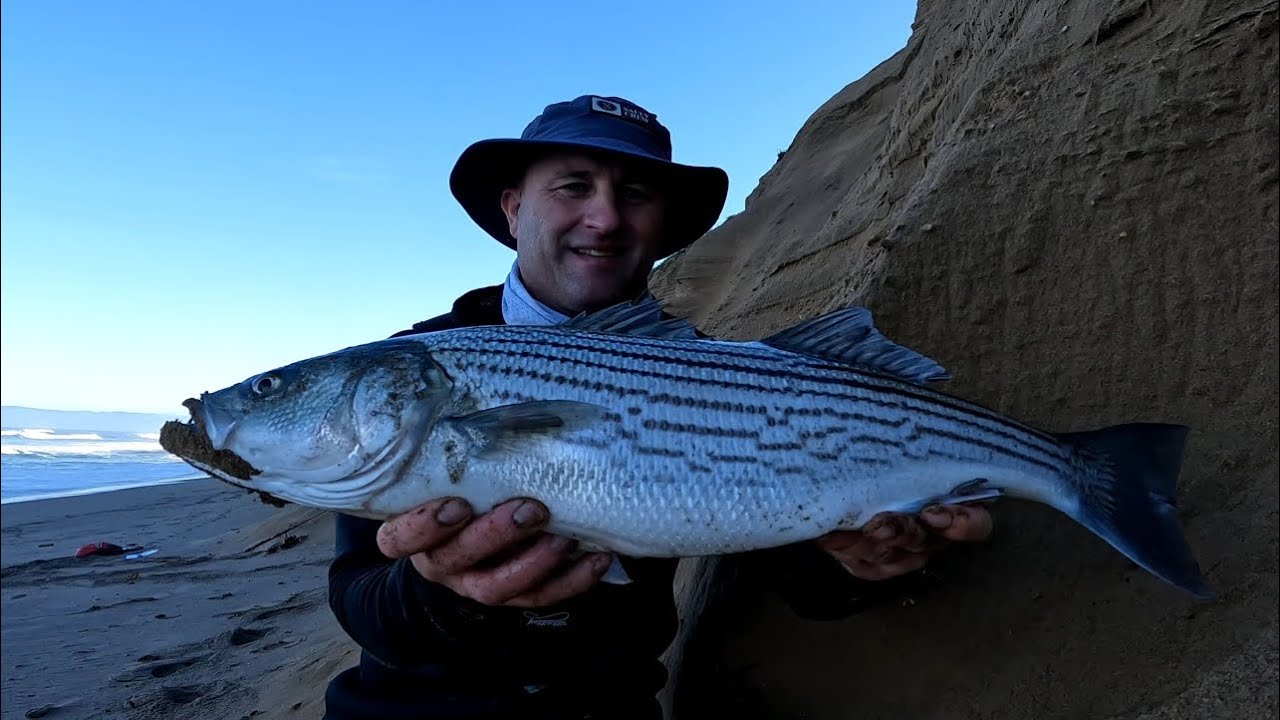 HOT SURF STRIPER BITE  AT MORRO BAY, CA!!!