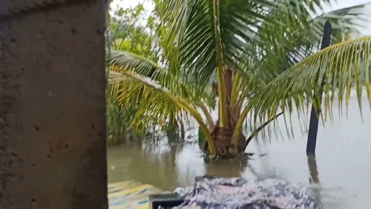 bhatkal shirali