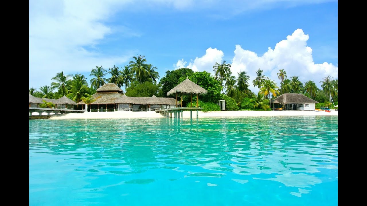 南国の波音高音質小鳥のさえずりが癒されます。睡眠用にどうぞ２時間