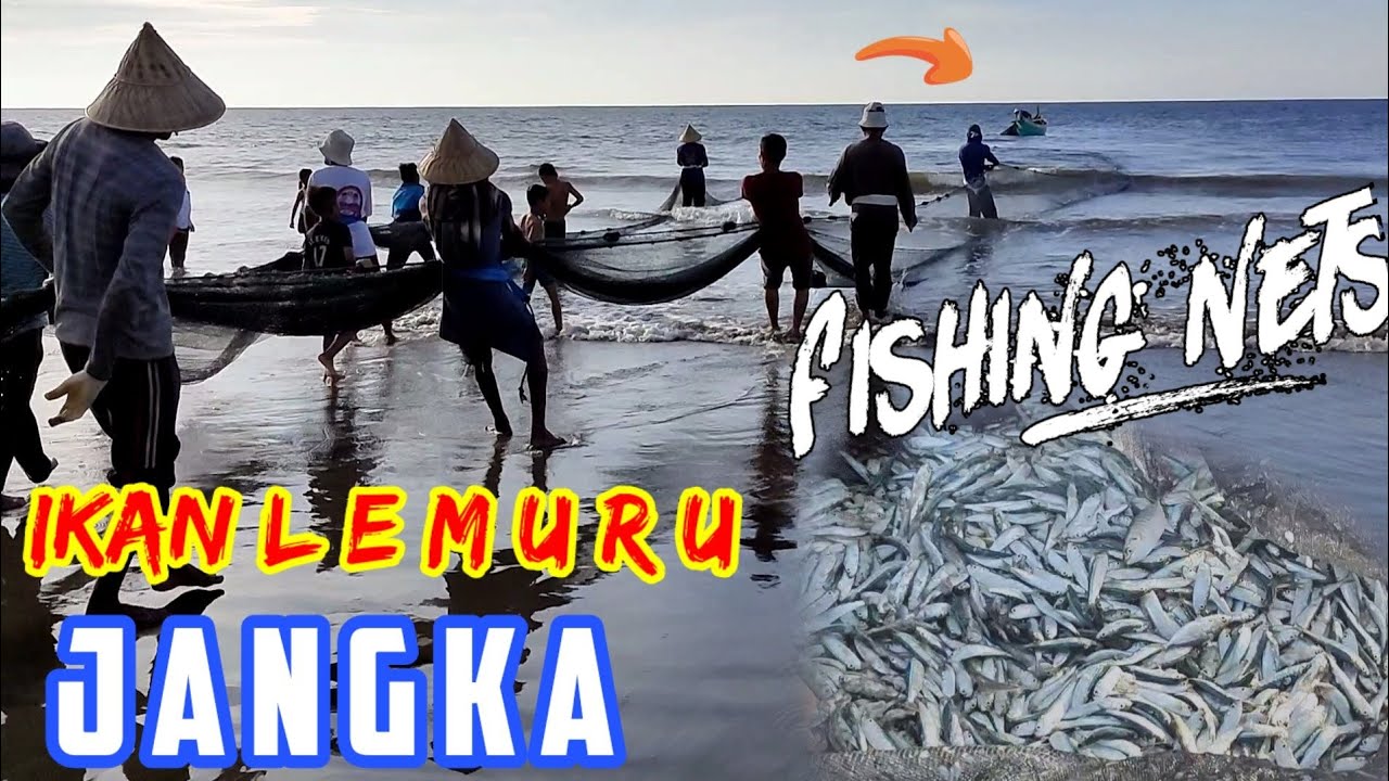 LUAR BIASA, Nelayan Jangka Labuh Pukat Panen Ikan LEMURU | Fishing Nets