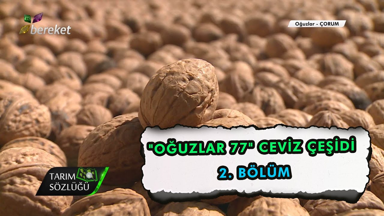 Tarım Sözlüğü | 