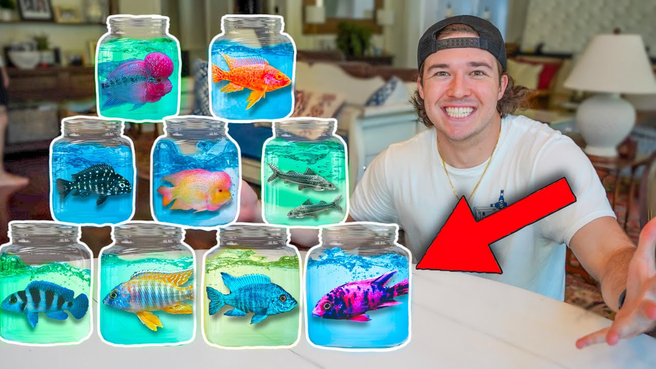 BUYING EVERY FISH OFF THIS WEBSITE!