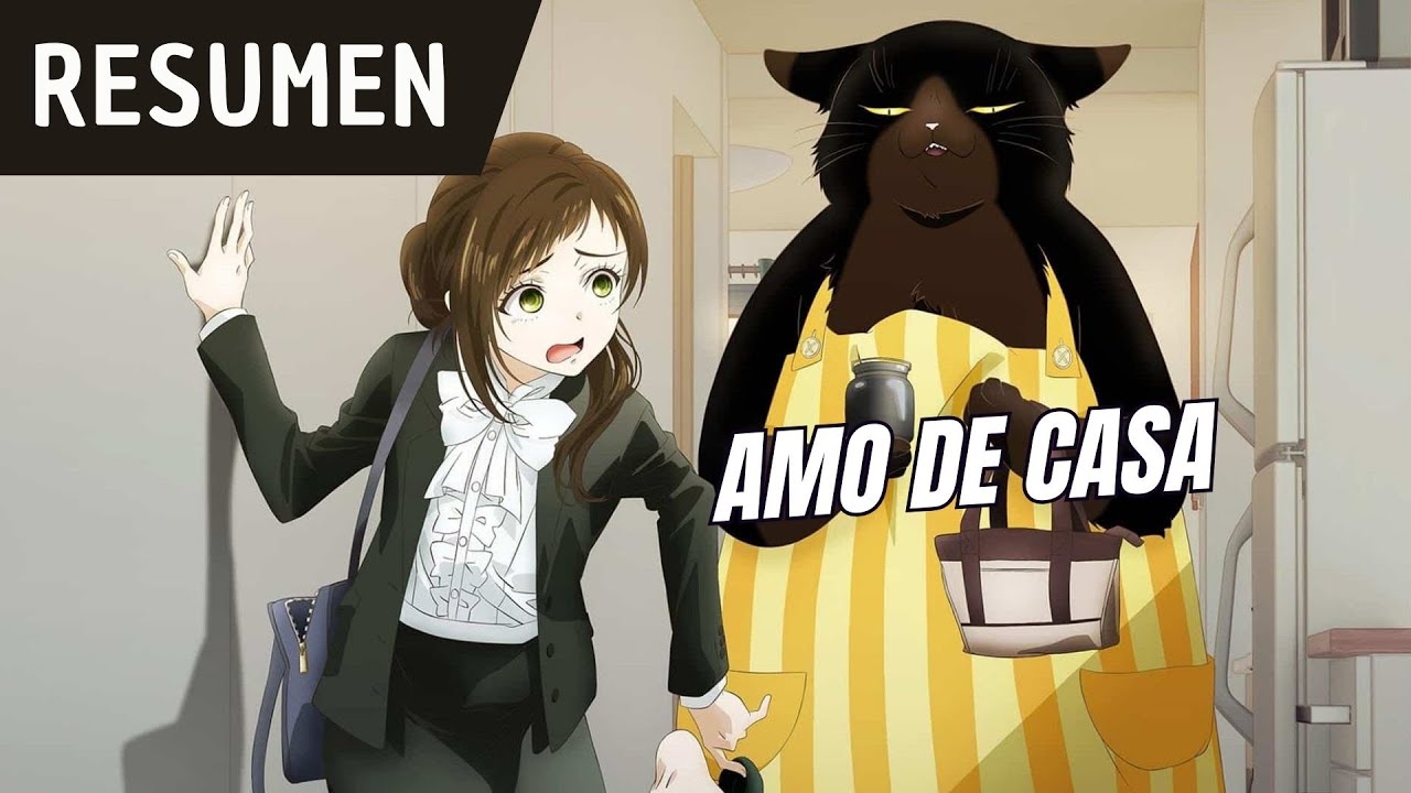 ✨Su Gato Se Volvió Ama De Casa | Dekiru Neko wa Kyō mo Yūutsu | Resumen De Anime