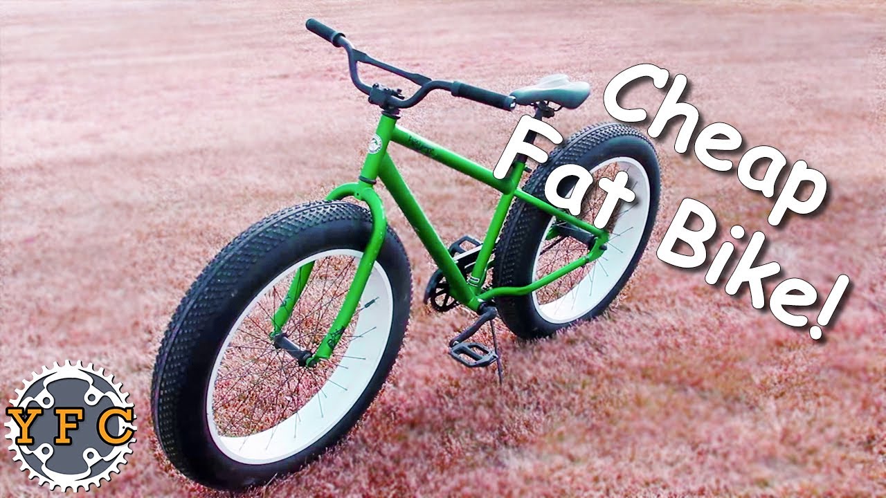Introducing the Beast!
