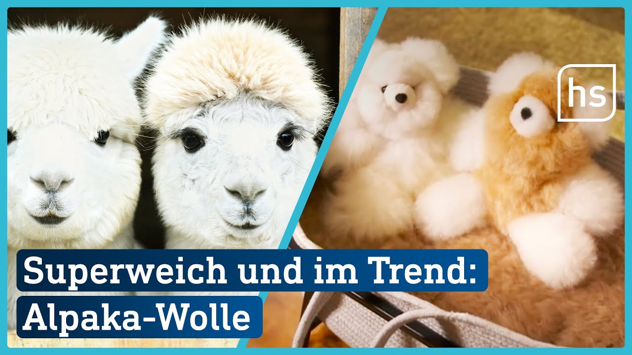 Nicht mal so billig: Decken und Wärmflaschen aus Alpaka-Wolle | hessenschau