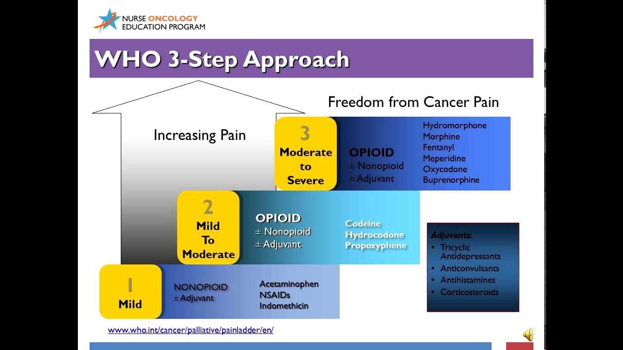 Competence in Cancer Care: End of Life Care and Survivorship