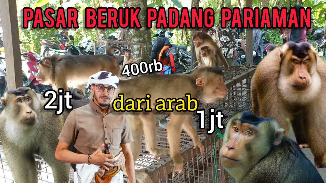 BIASANYA KE PASAR KULINER‼️KALI INI KITA KE PASAR TERNAK DI KABUPATEN PADANG PARIAMAN SUMATERA BARAT