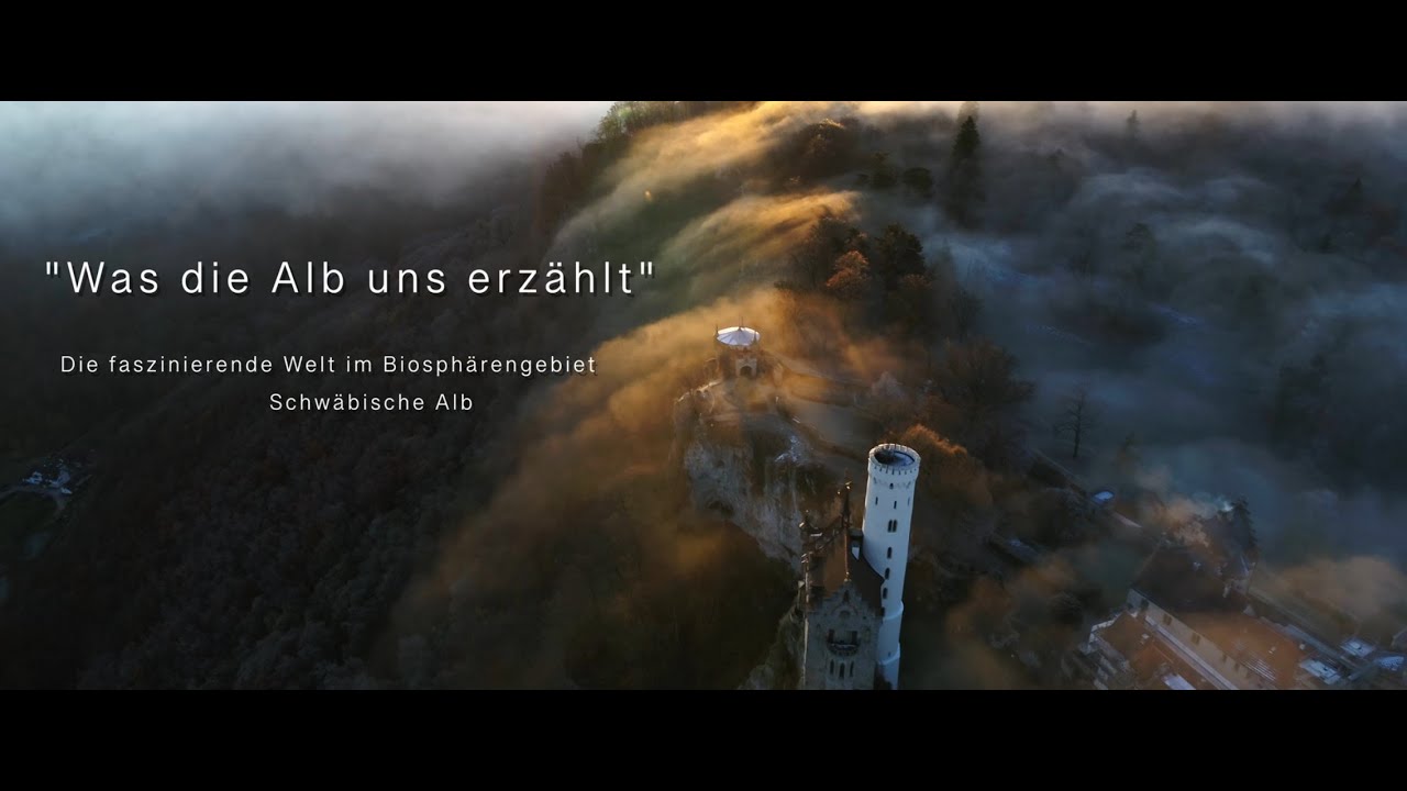 WAS DIE ALB UNS ERZ&Auml;HLT