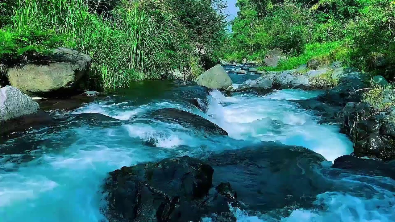Flowing Mountain Stream Sounds, Forest River Calm Water, Sleep