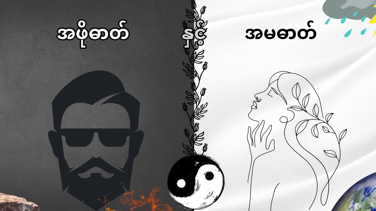 အဖိုဓာတ်နှင့်အမဓာတ်ဆိုတာဘာလဲ?