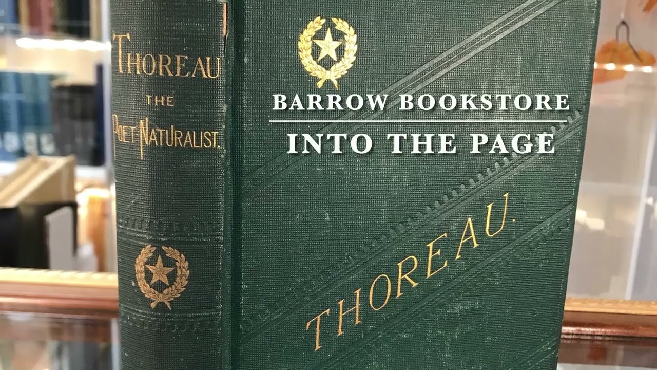 Into the Page : Thoreau Dreamed by William Ellery Channing