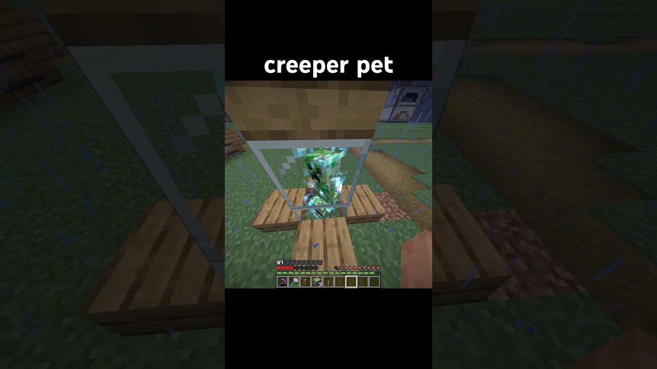 creeper pet 