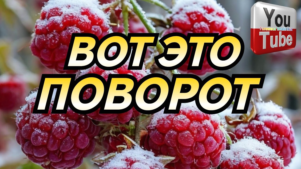 Ольга Уралочка /Вот это поворот /Обзор /Ольга Уралочка live /