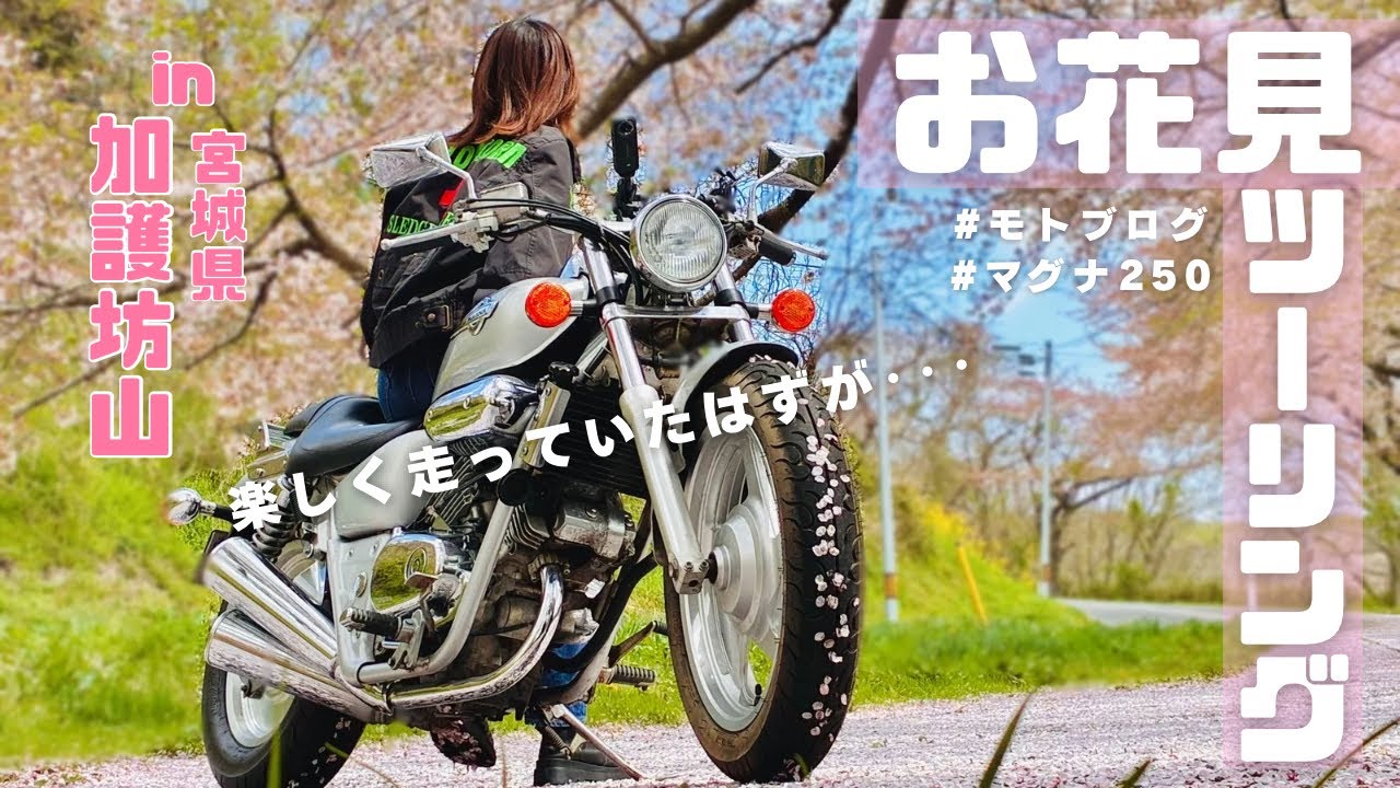 宮城県｜加護坊山へゆるっとツーリング！葉桜でも最高だった 【360度カメラ撮影#insta360x3 】