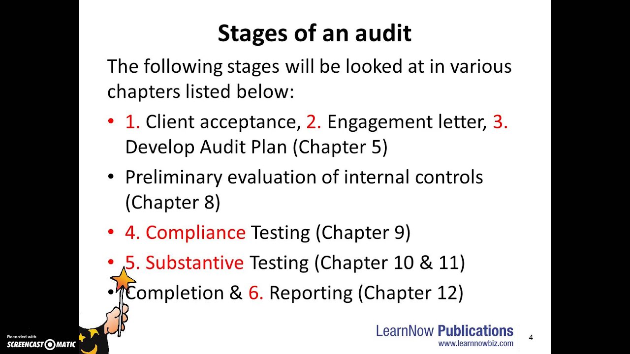 Stages of the Audit Process