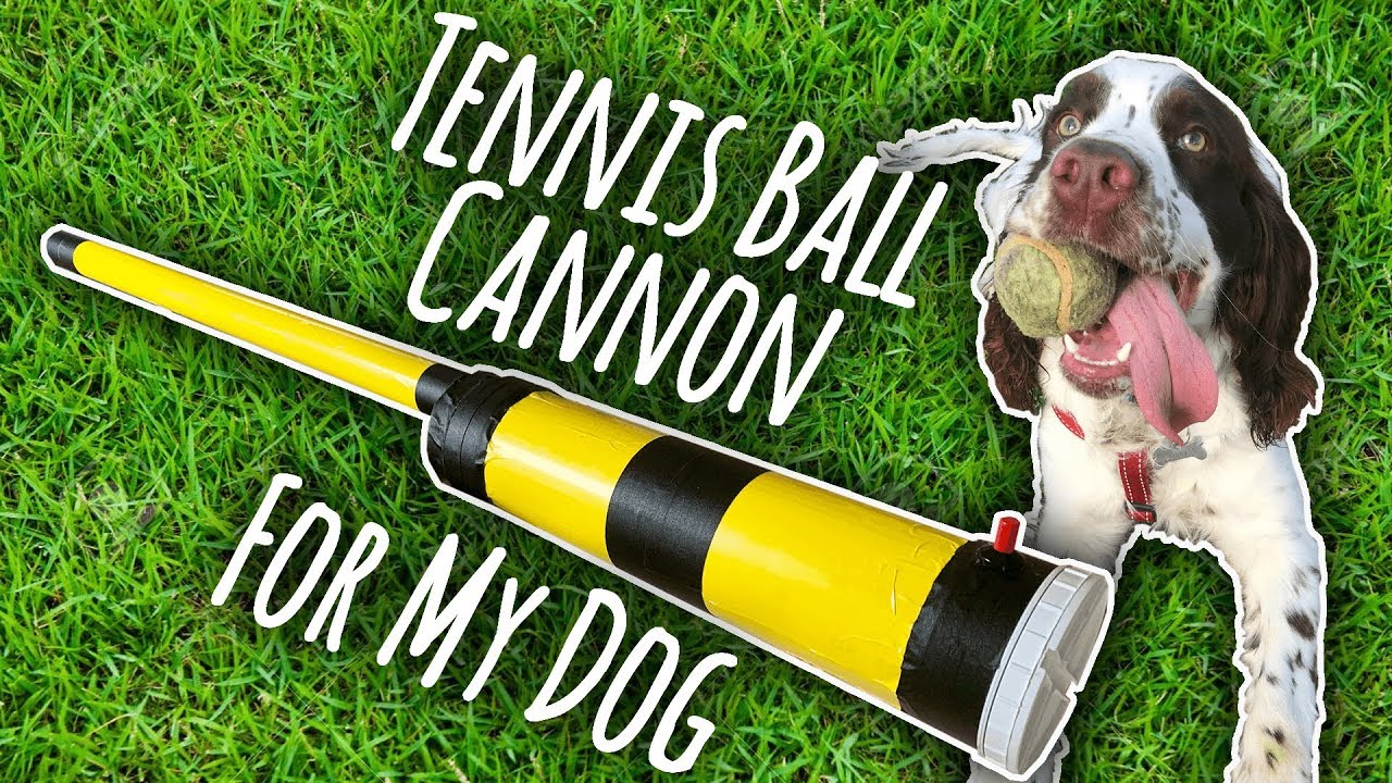 Building My Dog a Tennis Ball Cannon