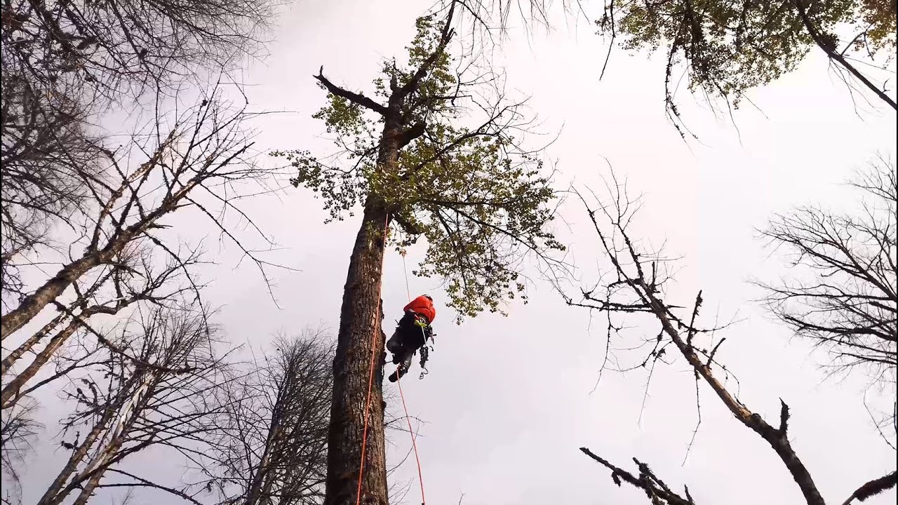 Drone River Rescue Packraft Tree Climbing Adventure ($10,000 Payload)