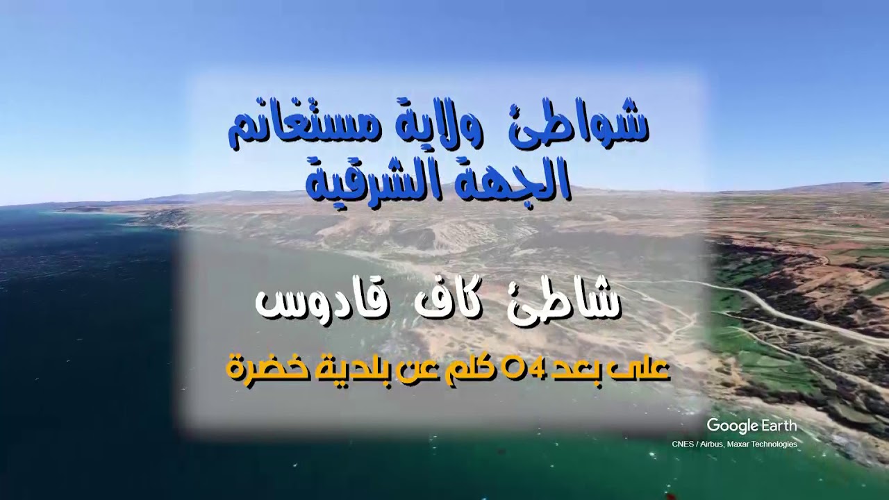 شاطئ كاف قادوس - نخلة