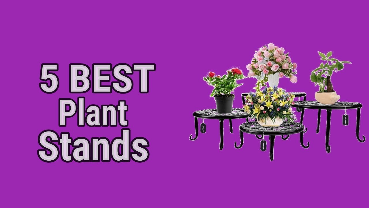 5 Best Plant Stands