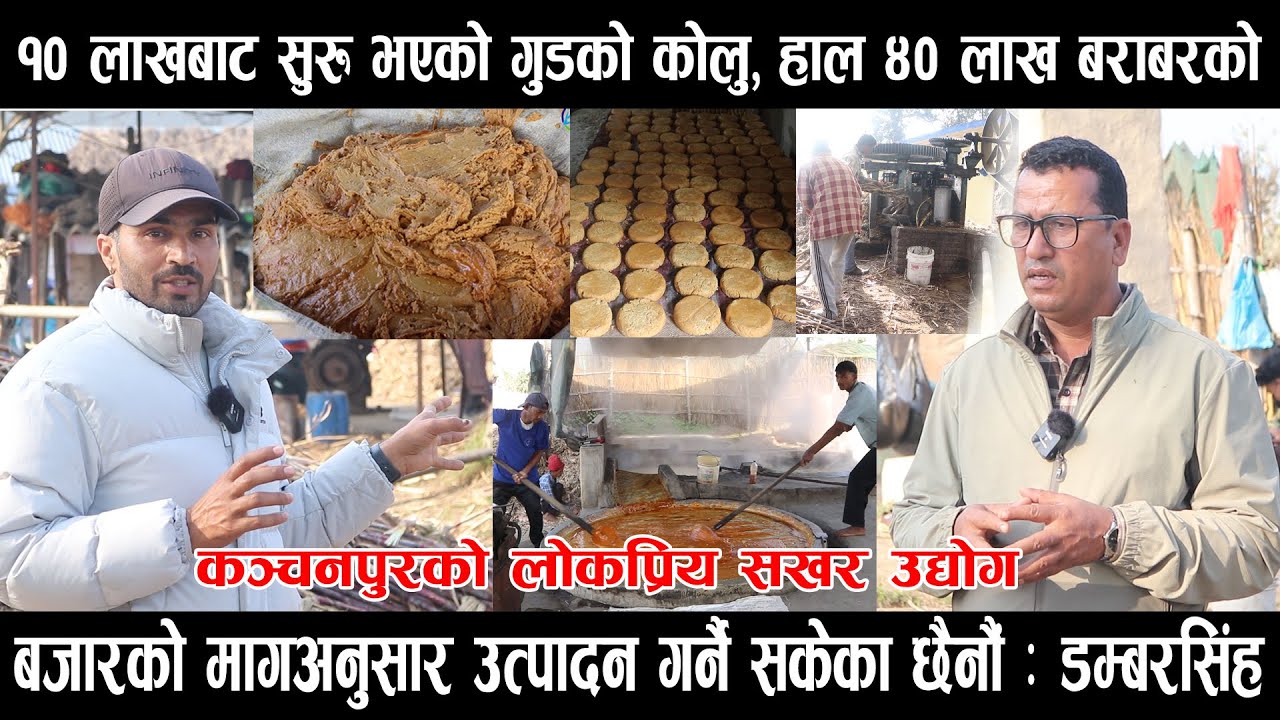 १० लाखबाट सुरुभएको गुडको कोलु,हाल ४० लाख बराबरको :चौबिसै घण्टाउत्पादन, कञ्चनपुरको लोकप्रिय सखरउद्योग