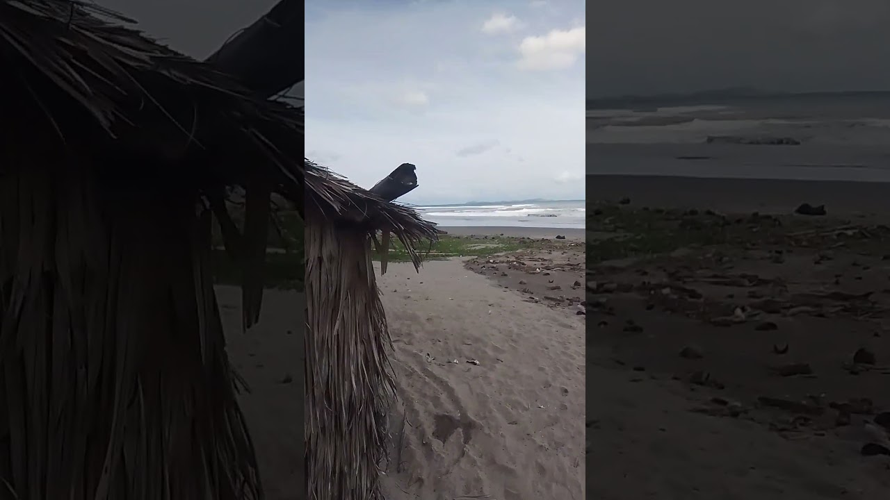 tropang mangga boys #shortvideo #buhayprobinsya