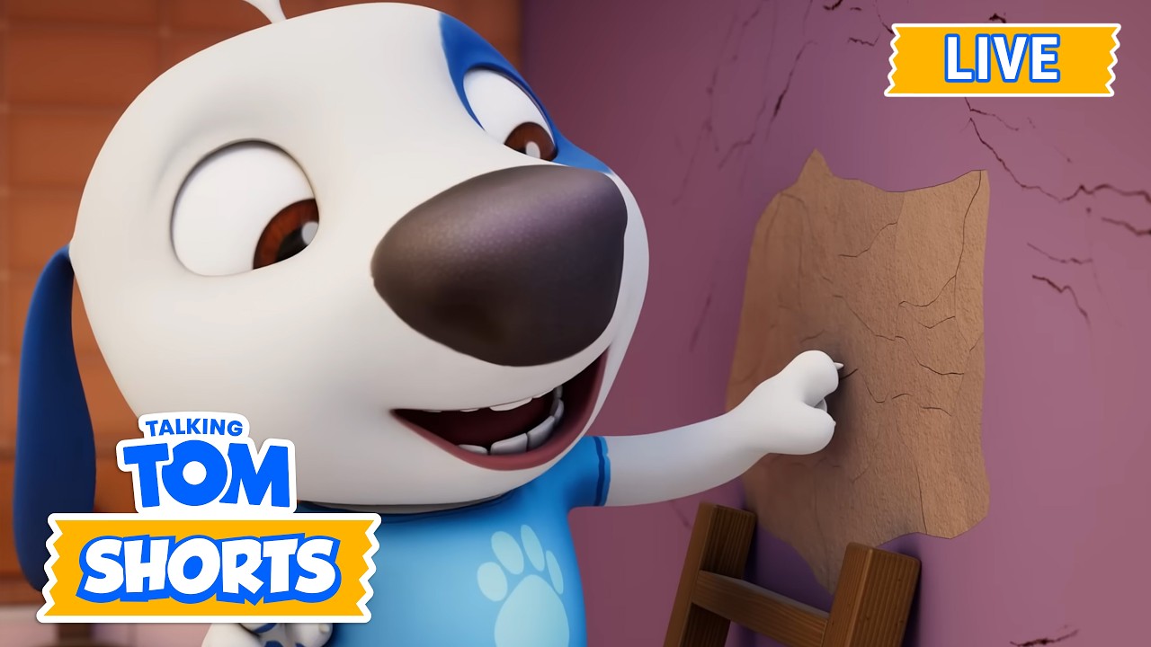 🔴LIVE: Missglückte Reparaturen zu Hause ⚒️ | Talking Tom Live | Lustige Tier-Cartoons | Tom Shorts