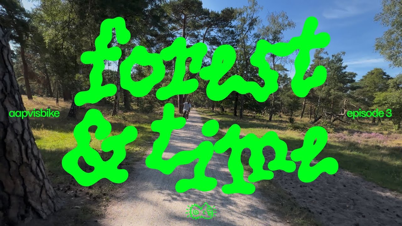 time traveling through forest and heathfield