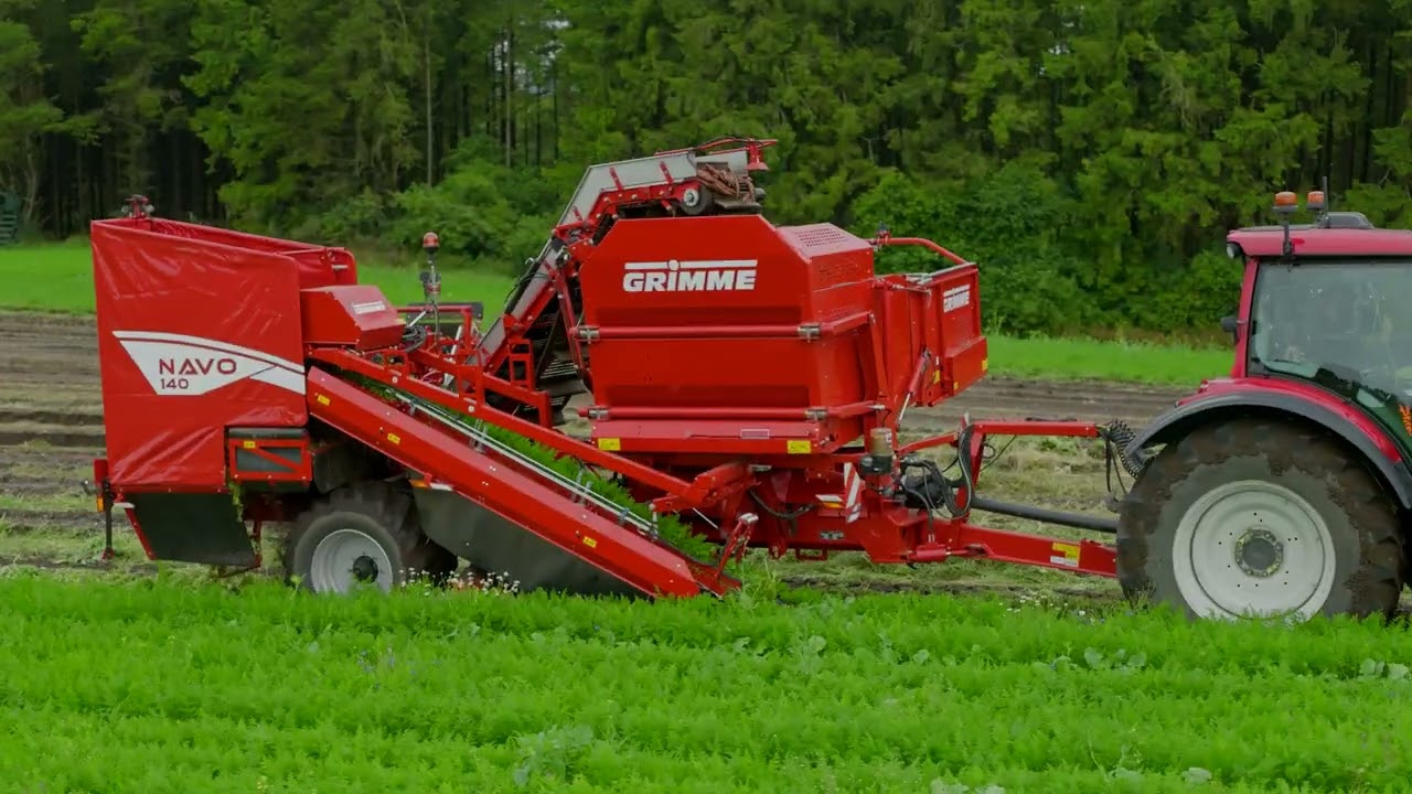 Der erste Klemmbandroder von GRIMME 🥕 | GRIMME NAVO 140