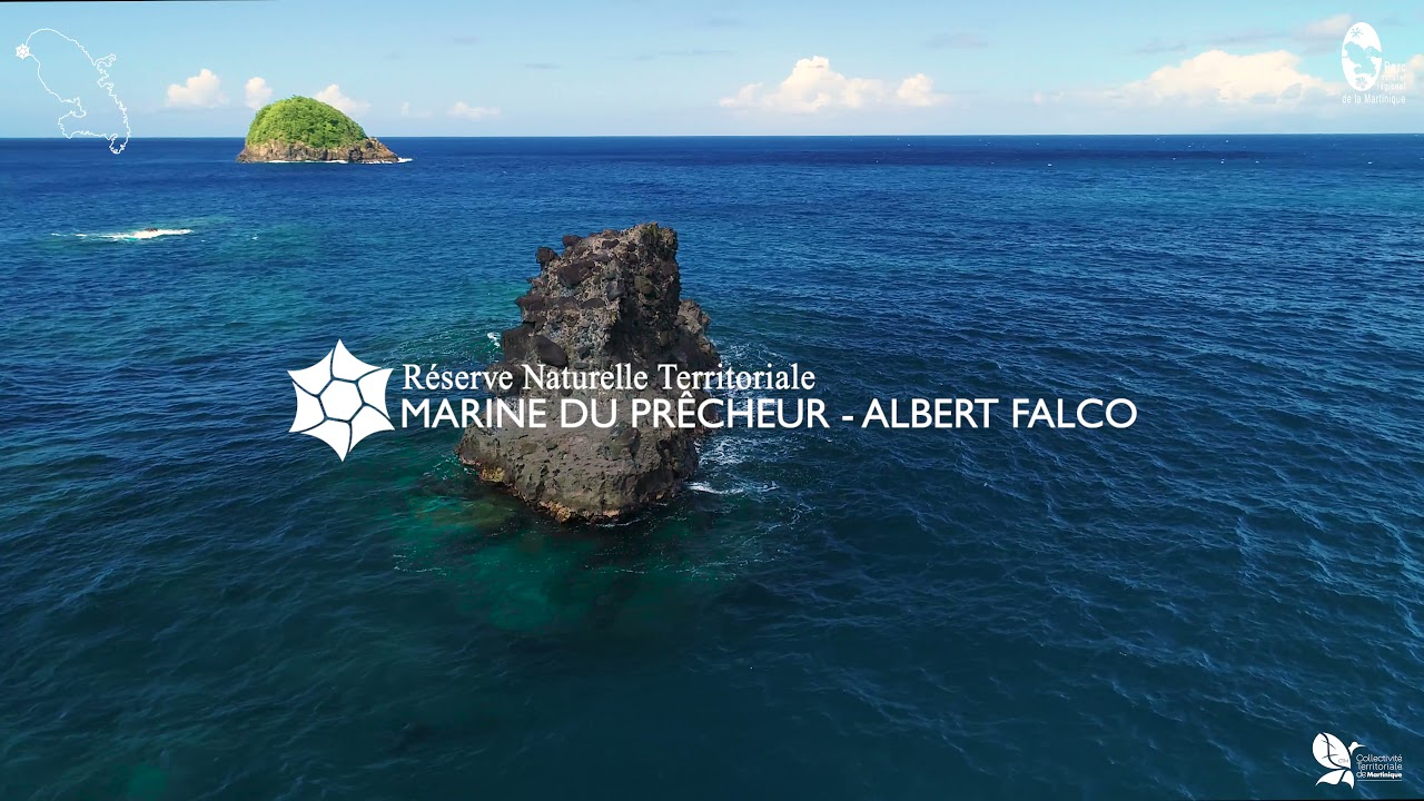 Les Réserves Naturelles de Martinique