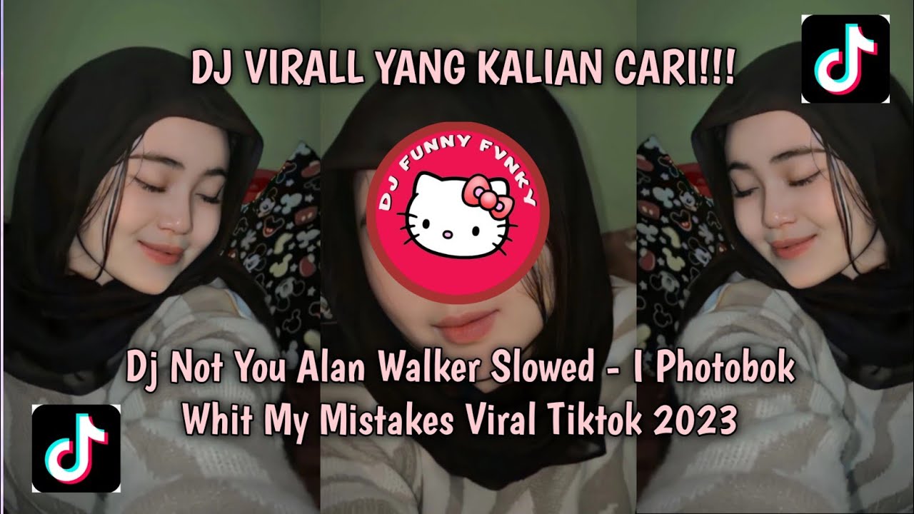 Dj Not You Alan Walker Slowed - I Photobok Whit My Mistakes Viral Tiktok 2023