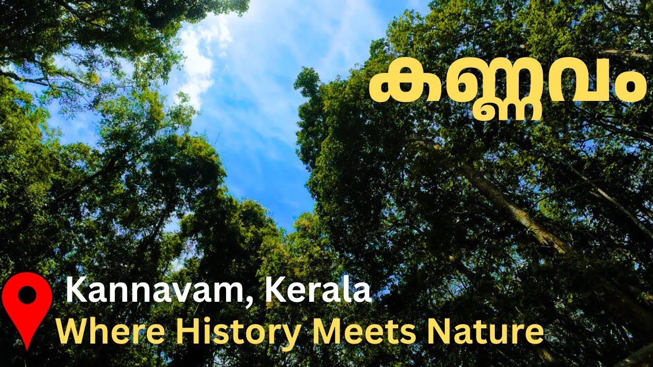 Kannavam Forest | Where History Meets Nature | Nature walk in Kerala's Forests