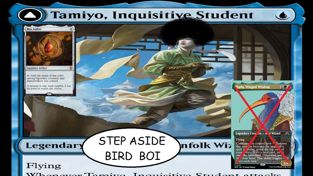 Tamiyo, Inquisitive Student Bullying The Bird