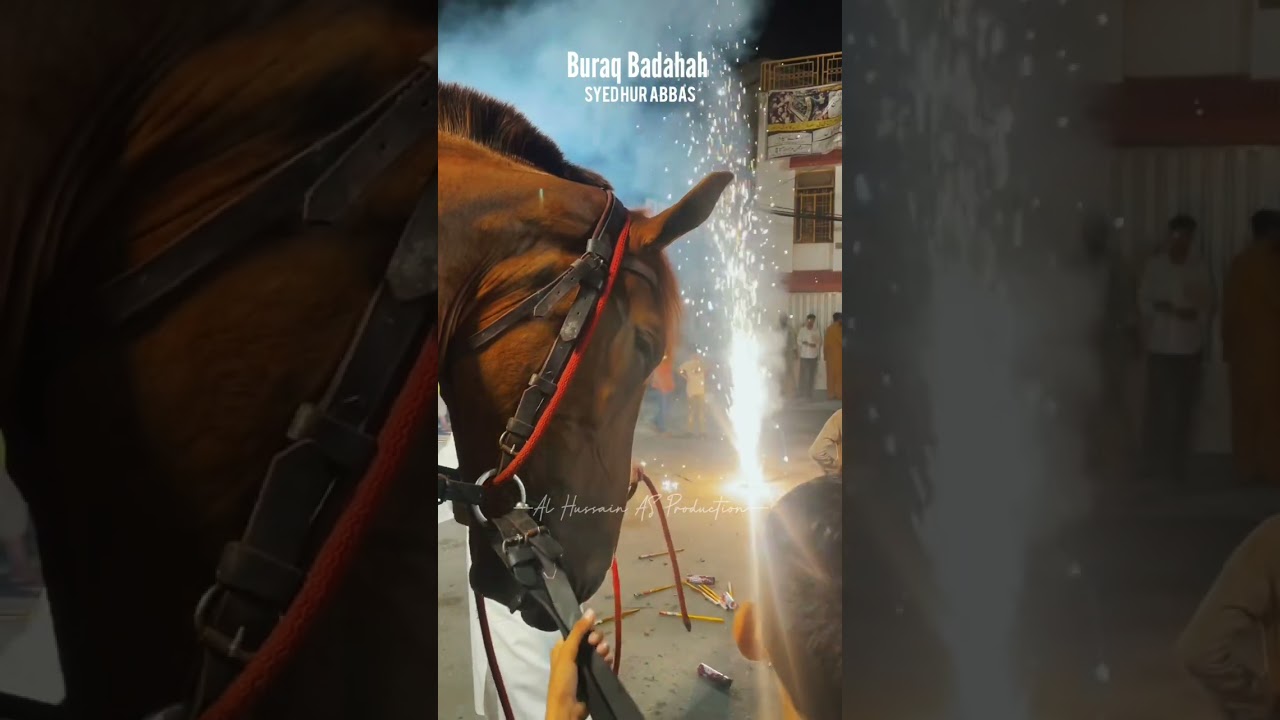 #zuljanah #buraq #badshah #lahore #jaffriacolony #viral_video #foryou #shortsfeed #tiktok #trending