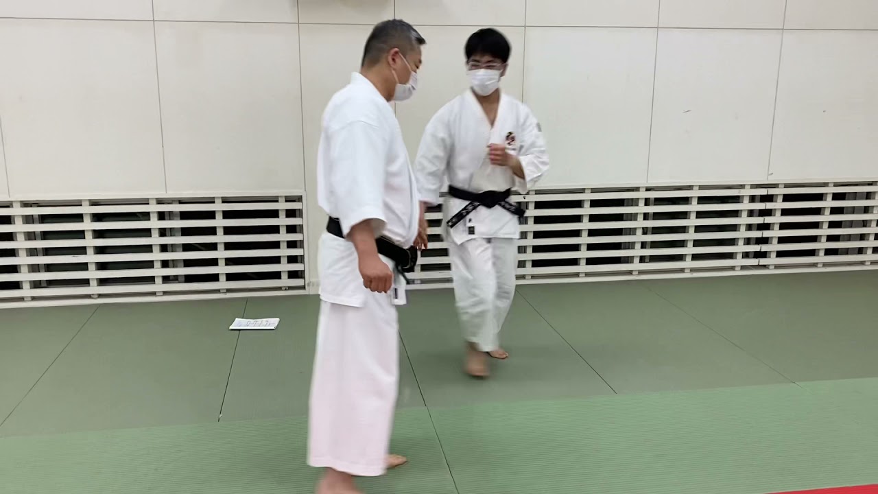 Shorinji Kempo　　三角抜   sankaku  nuki　　少林寺拳法