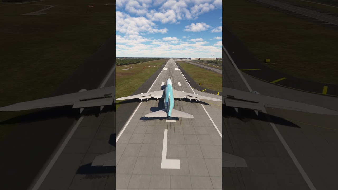 plane landed in bad weather 351