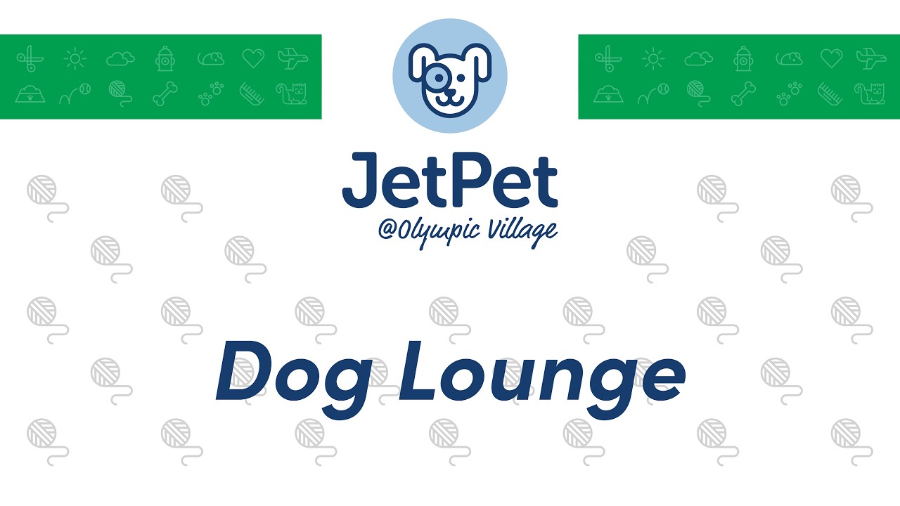 OV: Dog Lounge - February 18, 2026