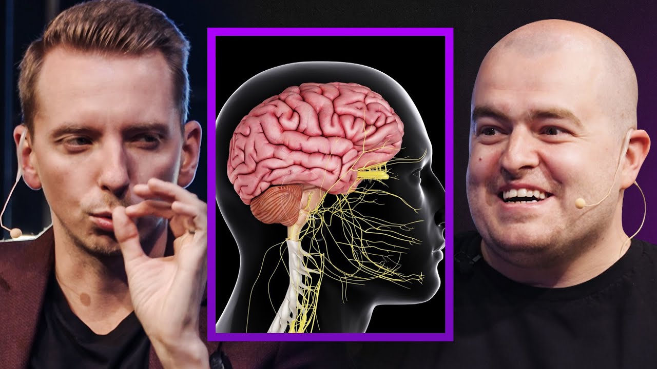 DU-TI SISTEMUL NERVOS LA UN TERAPEUT - PAUL OLTEANU LA THE STAKEBORG TALKS