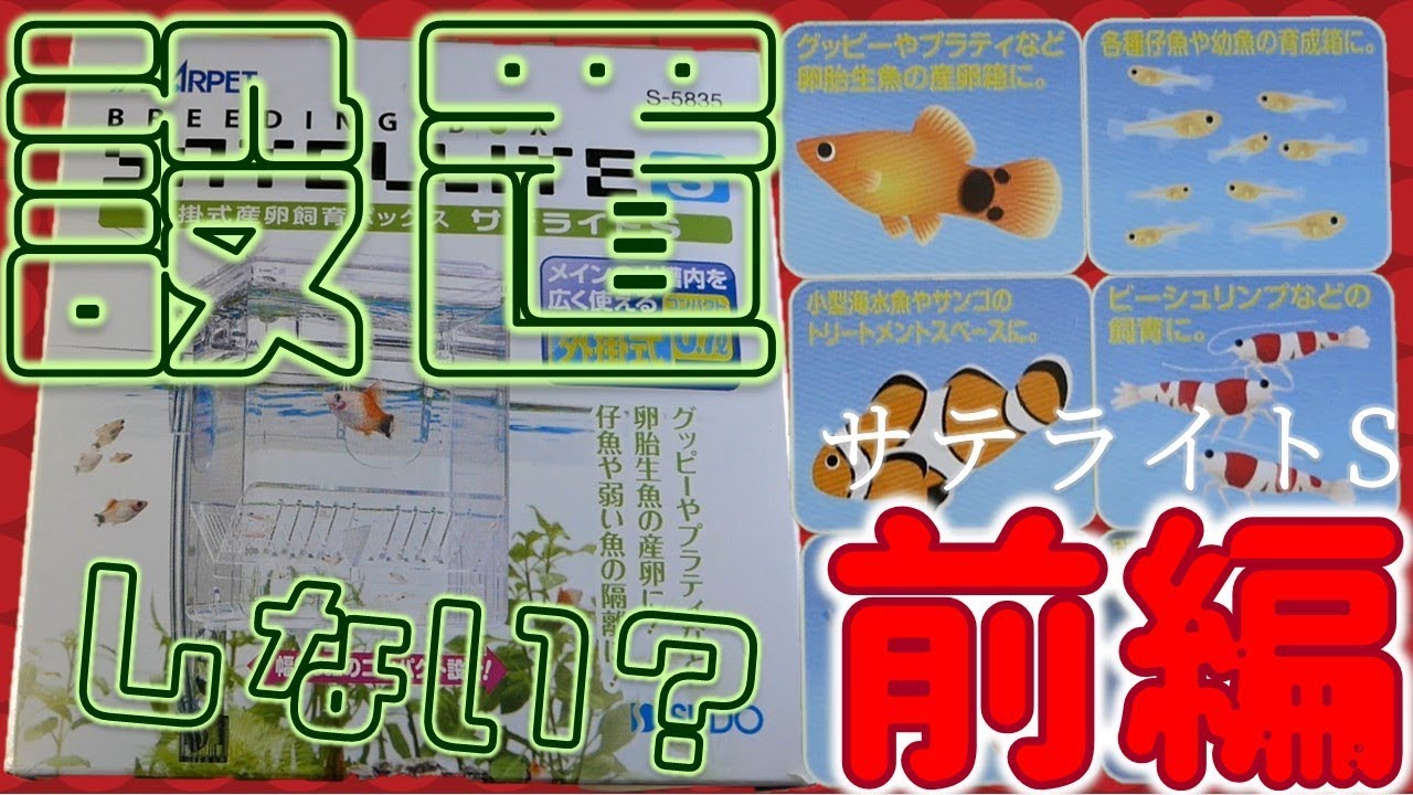 【産卵箱】サテライトSを購入。絶対作ってやる。前編！【ふぶきテトラ】