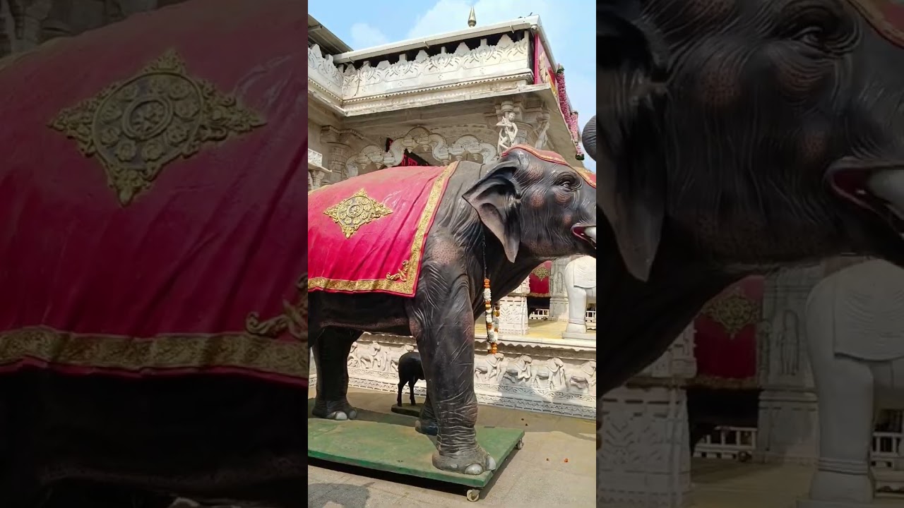 Balu mama Adamapur Darshan