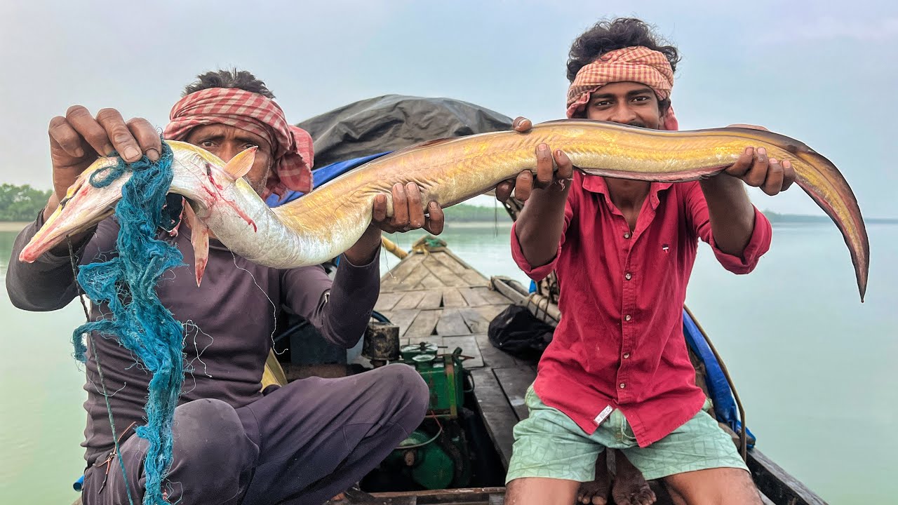 রাতের অন্ধকারে বড়শি ফেলে 4kg ওজনের সোনা বাইন ধরলাম!!!