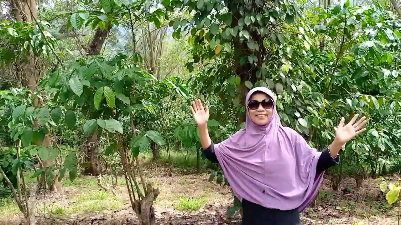 Explore di kebun kopi benuang galing kepahyang Bengkulu