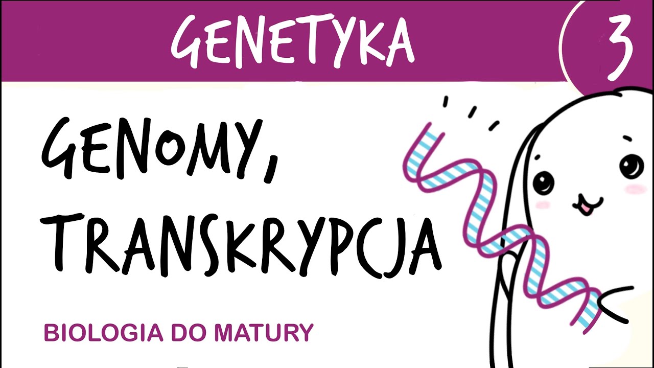 Genetyka 3 🧬 Genomy - porównanie, transkrypcja - matura z biologii rozszerzona, liceum