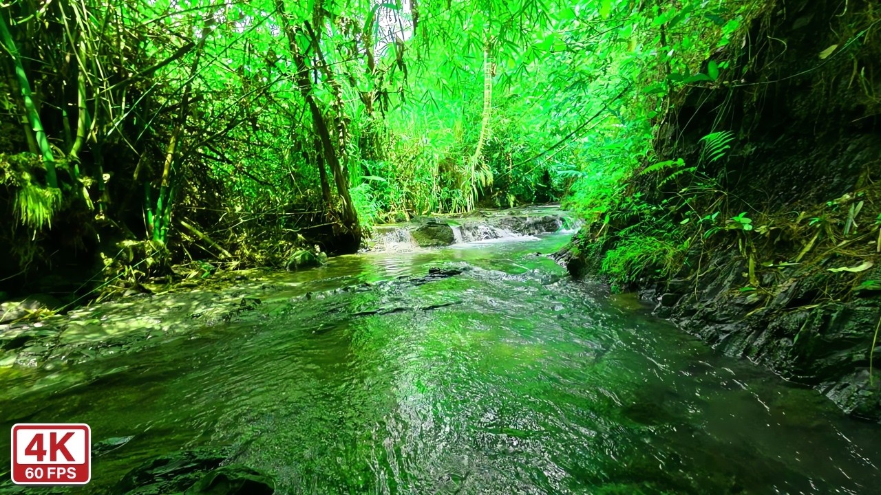 Beautiful Forest River Sounds 🌿 Deep Sleep Nature Ambience for Relaxation (10 Hours)