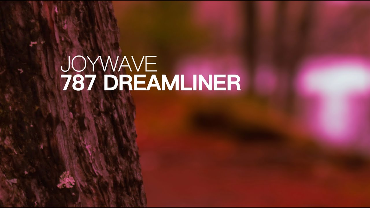 Joywave - 787 Dreamliner (Unofficial Lyric Video)