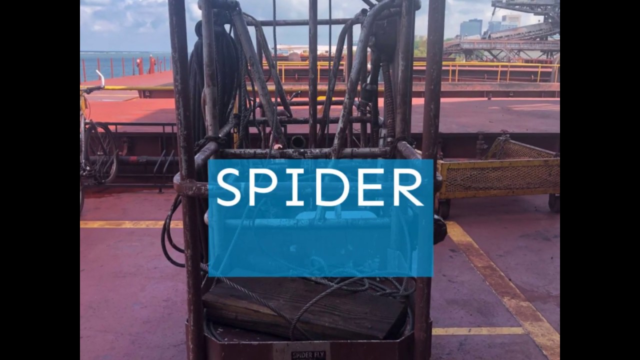 Talk Like A Sailor: Animals Aboard The Ship