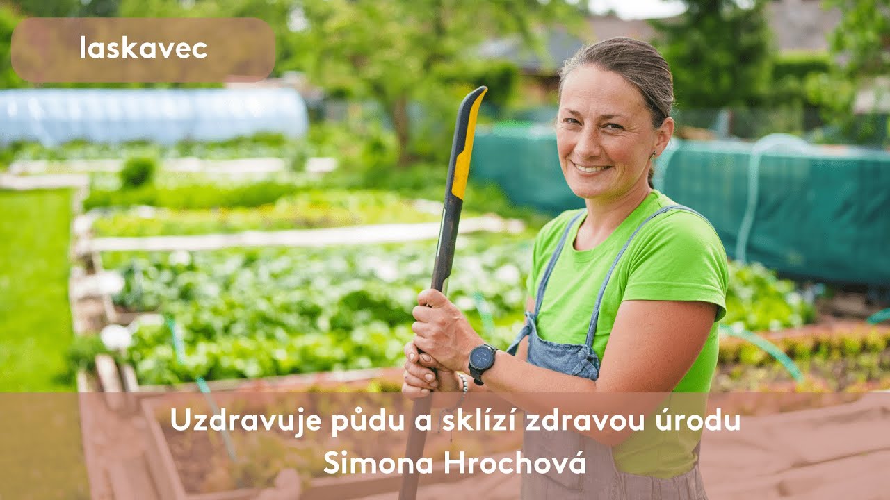 Uzdravuje půdu a sklízí zdravou úrodu 💙 Simona Hrochová - Laskavec 2024