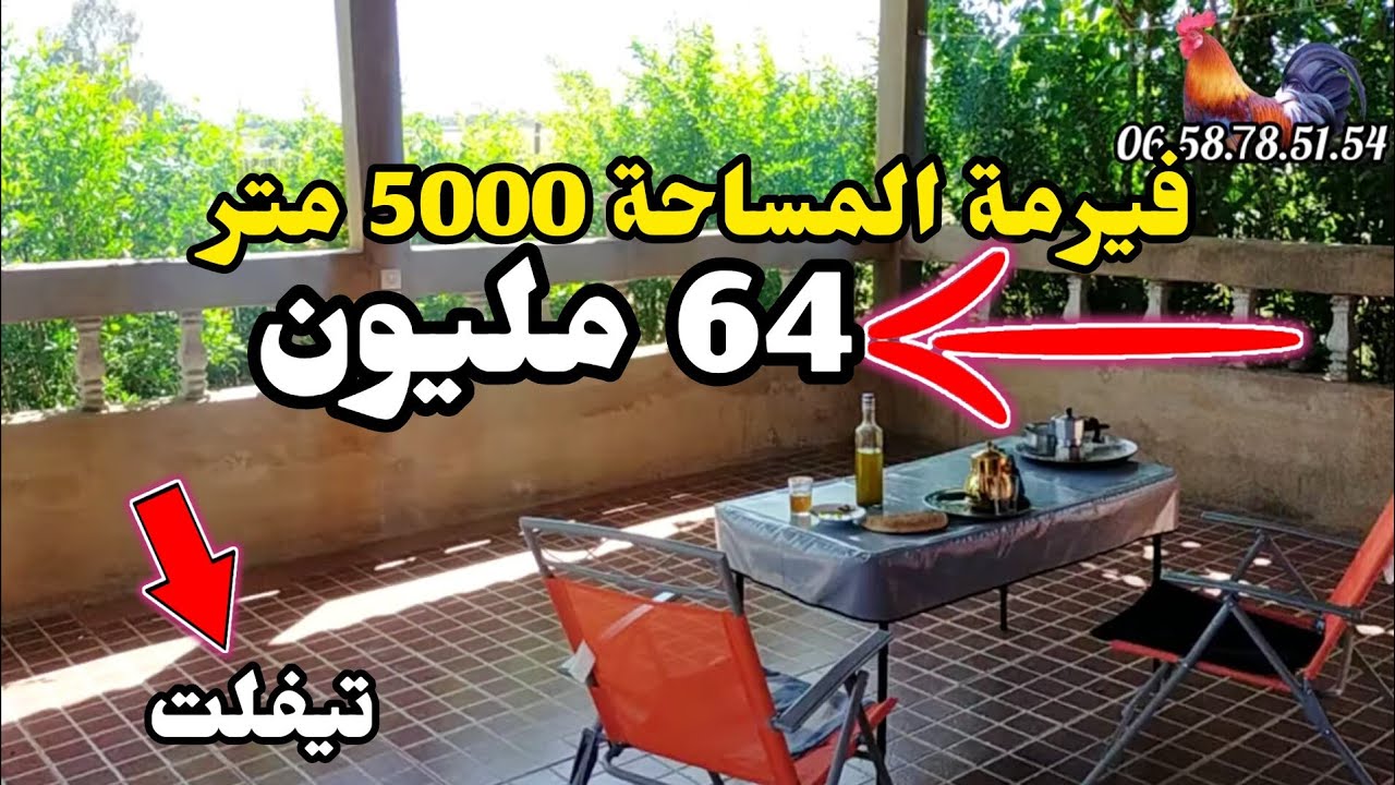 تم لبيع ⛔فيرمة جميلة 😍 المساحة 5000 متر نواحي تيفلت ثمن 64 مليون.  0658785154
